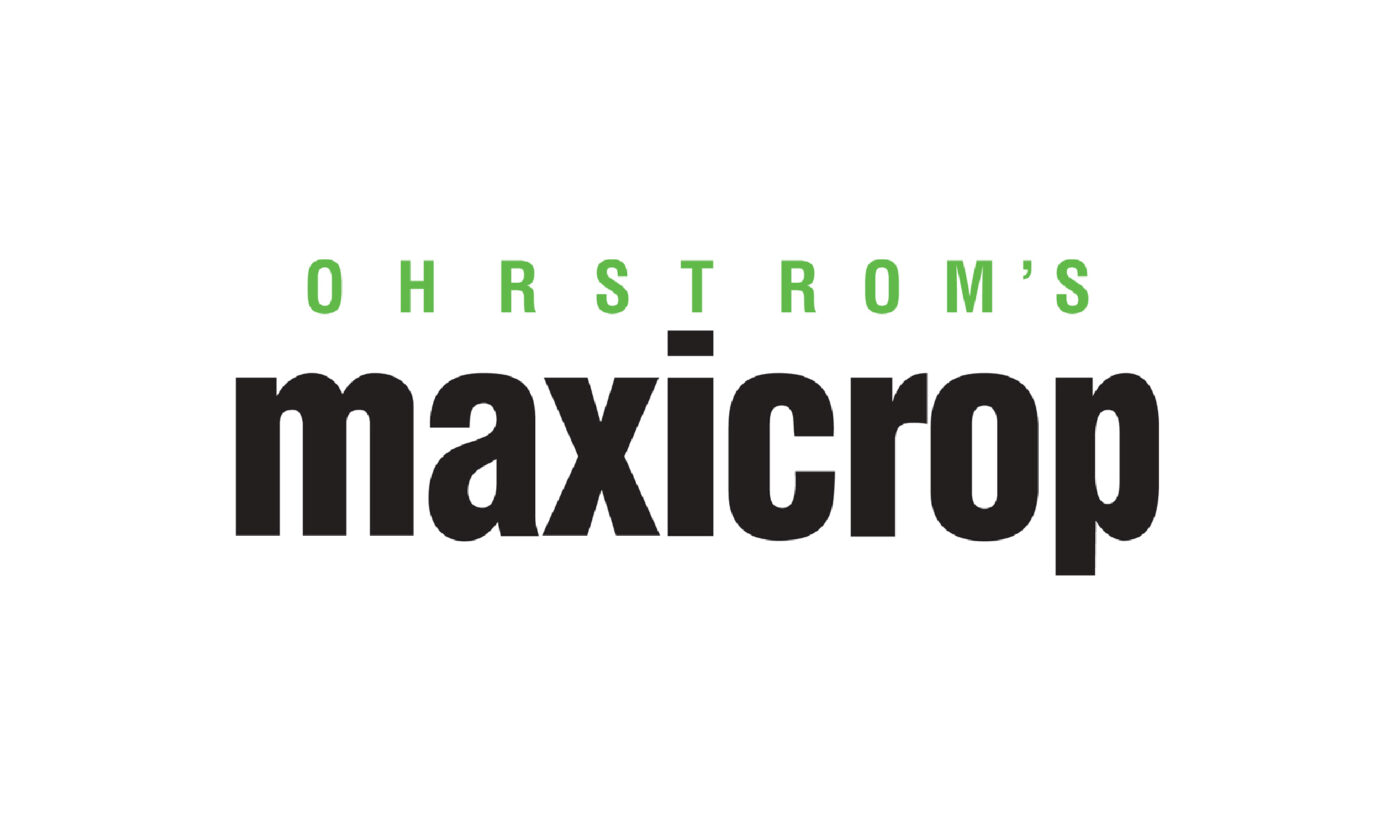 Our Creative Team 29 Maxicrop